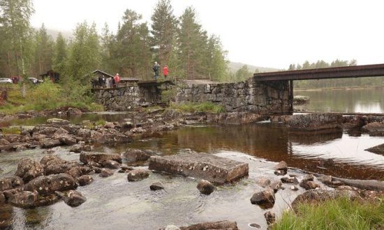 200096Flåforening