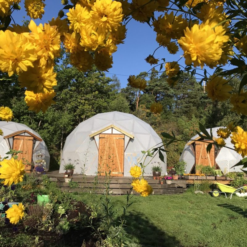 Geodome